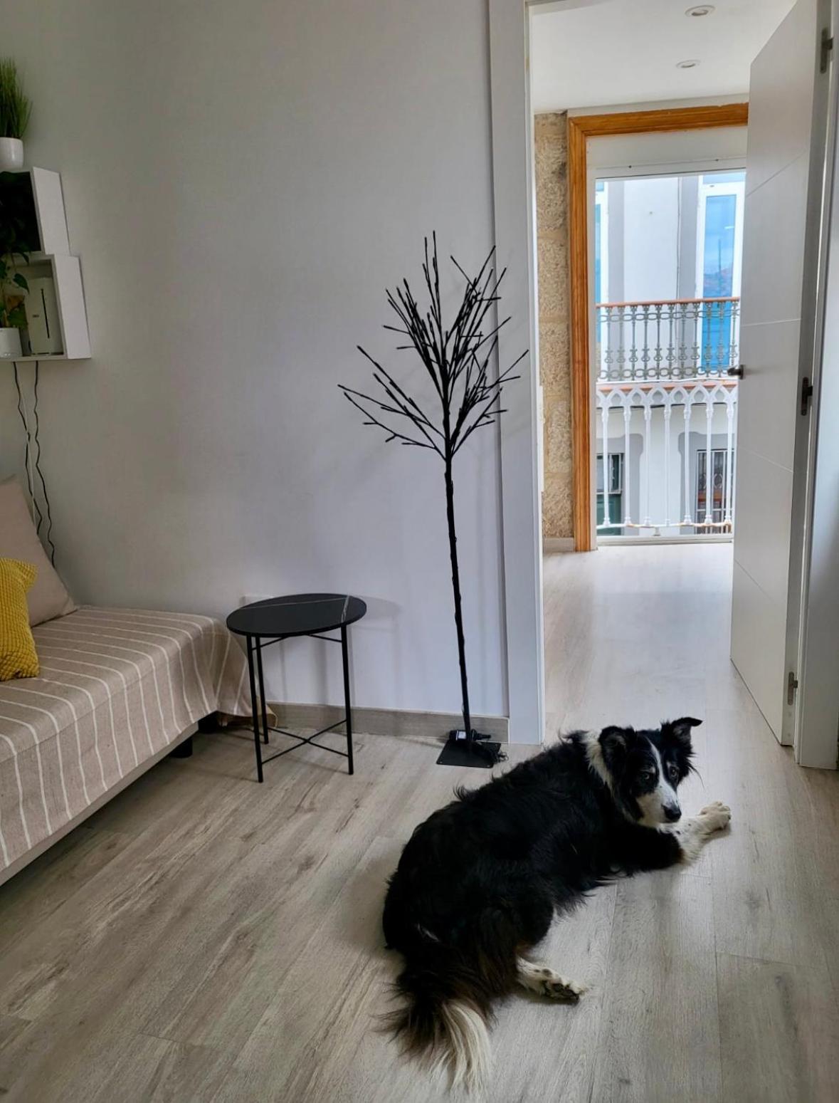 Apartamento Centrico Y Acogedor Vigo Exterior foto